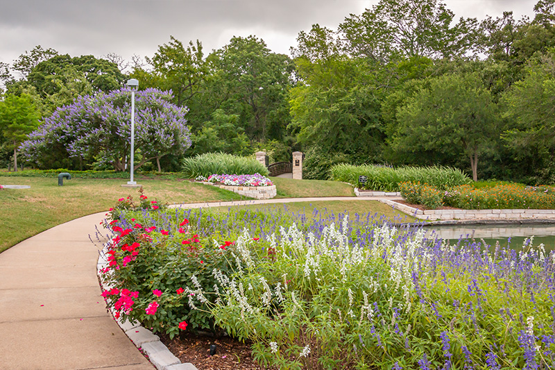 garden with flowers