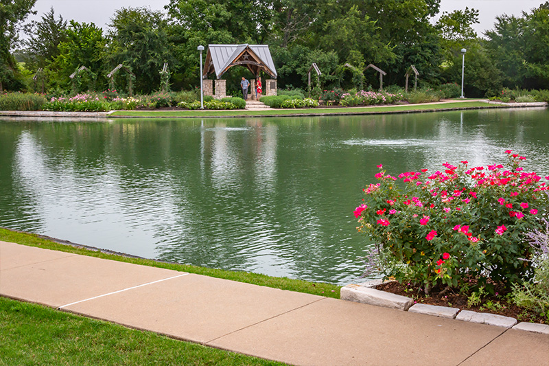 garden and pond